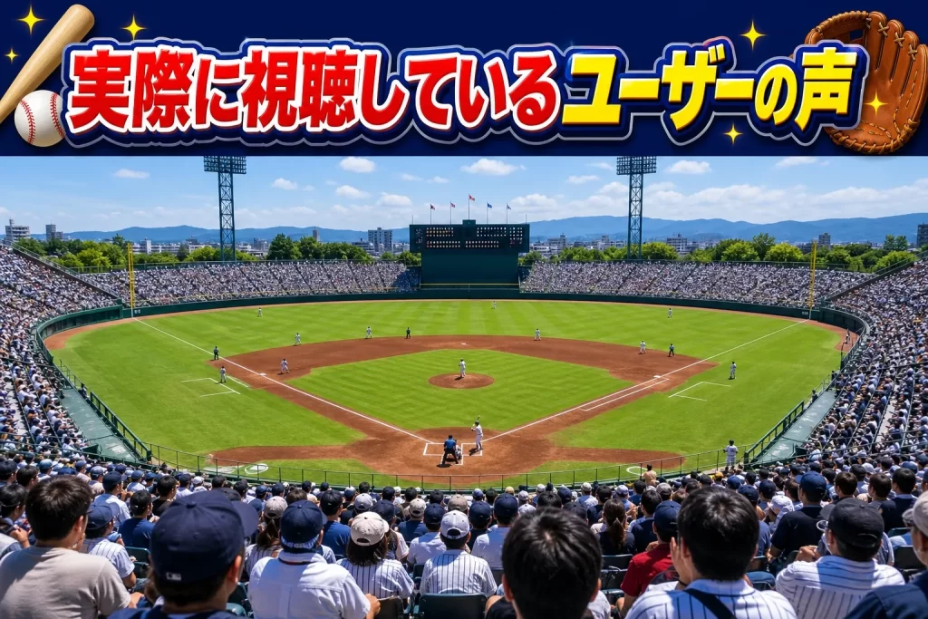 実際に視聴しているユーザーの声
