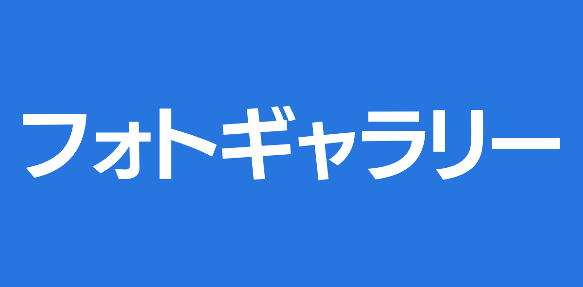 フォトギャラリー